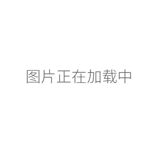 上海躍進生化培養箱HPX-II-250